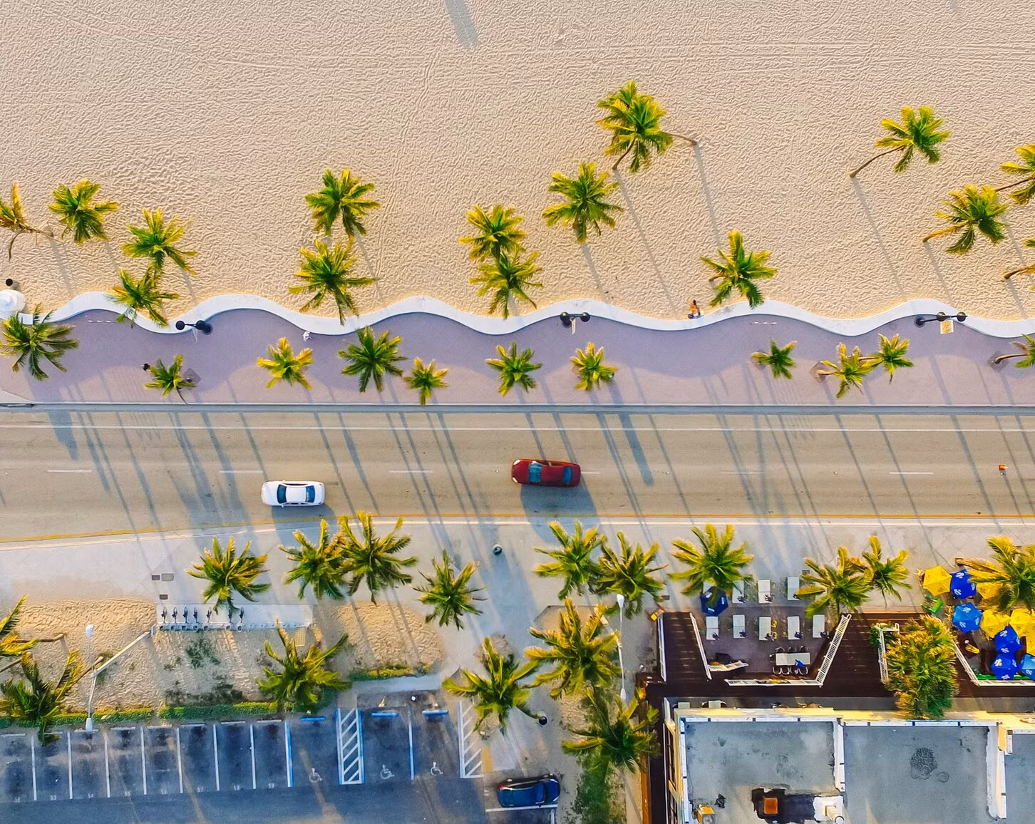 Aerial view of a palm-lined beachfront promenade